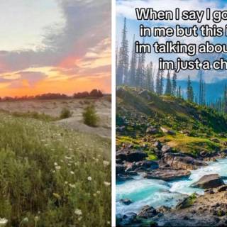 I'm Just a Chill Guy wallpaper