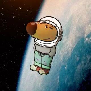 I'm Just a Chill Guy wallpaper