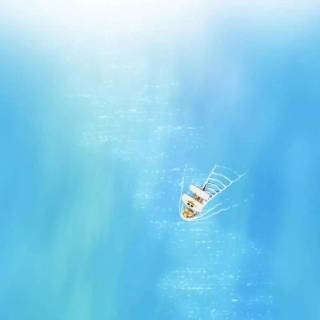 One Piece ocean wallpaper