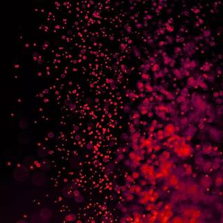 Red mobile 4k wallpaper