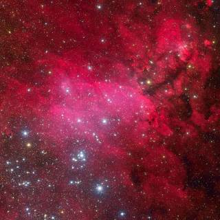 Red mobile 4k wallpaper