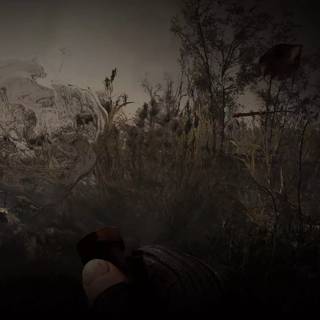 Outlast 2 4k wallpaper