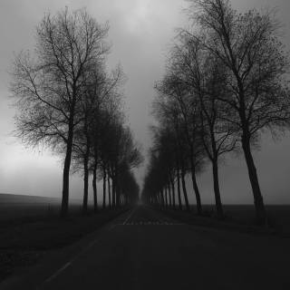 Nature black 4k wallpaper