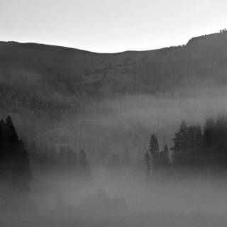 Nature black 4k wallpaper