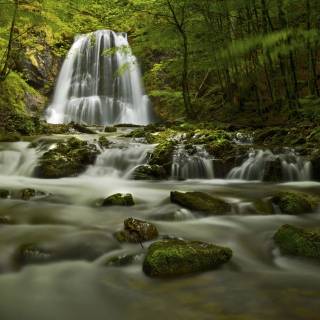 Nature 4k ultra HD wallpaper