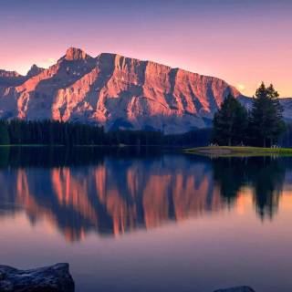 Oled nature wallpaper