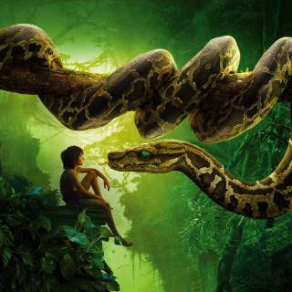 Movies 4k PC wallpaper