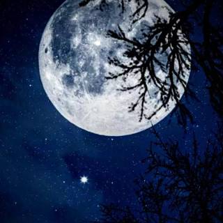 Full moon phone wallpaper