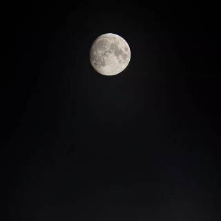 Full moon phone wallpaper