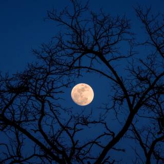 Moon 4k dark wallpaper