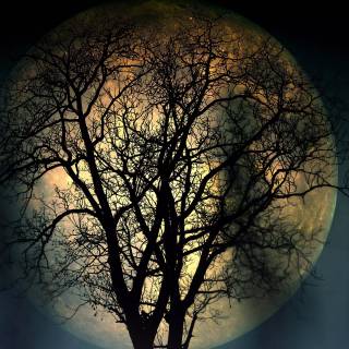 Moon 4k dark wallpaper