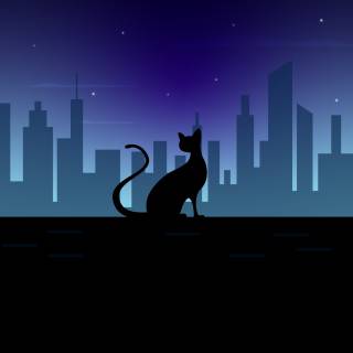 Cat phone 4k wallpaper