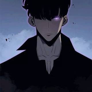 Sung Jinwoo iPhone wallpaper