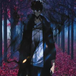 Sung Jinwoo iPhone wallpaper