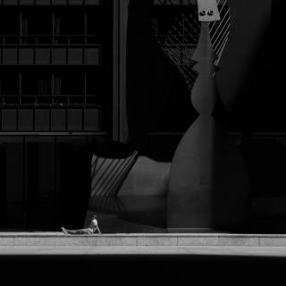 Picasso iPhone wallpaper