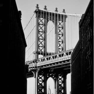 iPhone X New York wallpaper