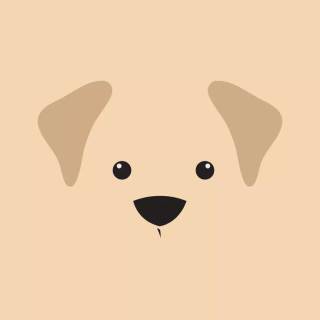 Cute puppy iPhone wallpaper