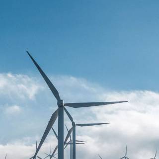 Windmill phone wallpaper