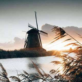 Windmill phone wallpaper