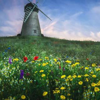 Windmill phone wallpaper