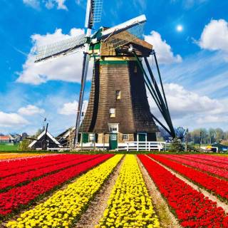 Windmill phone wallpaper