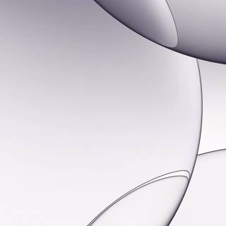 White iPhone XR wallpaper