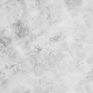 White iPhone XR wallpaper