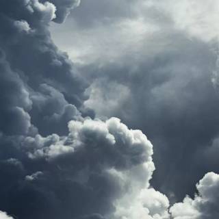 White iPhone XR wallpaper