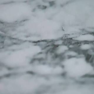 White iPhone XR wallpaper