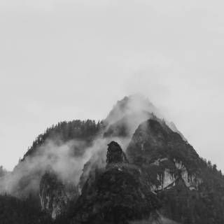 White iPhone SE wallpaper