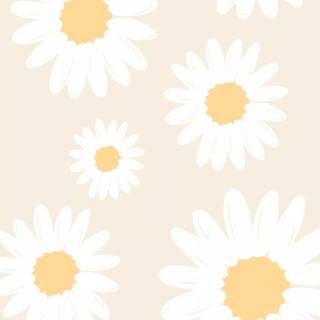 Cute white wallpaper