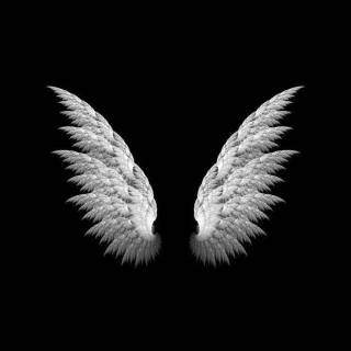 White iPhone SE wallpaper