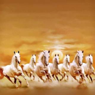 White horse phone wallpaper