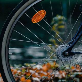 Wheel iPhone wallpaper