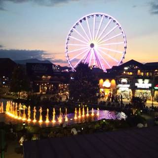 Wheel iPhone wallpaper