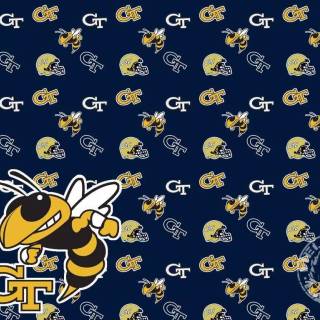 Georgia Tech Yellow Jackets wallpaper