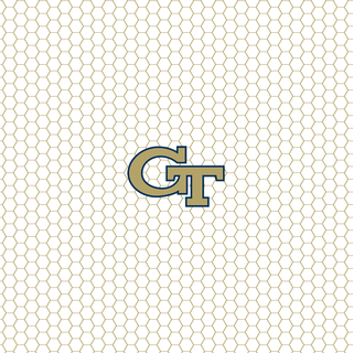 Georgia Tech Yellow Jackets wallpaper