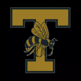 Georgia Tech Yellow Jackets wallpaper