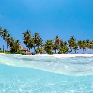 Crystal clear water wallpaper