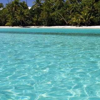 Crystal clear water wallpaper