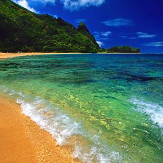 Clear desktop wallpaper