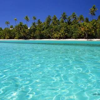 Crystal clear water wallpaper