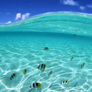 Crystal clear water wallpaper