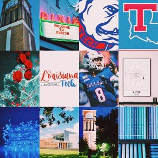Louisiana Tech Bulldogs wallpaper