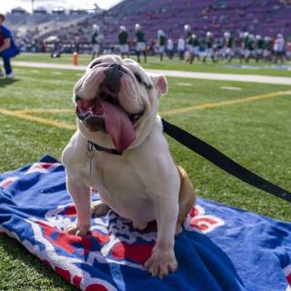 Louisiana Tech Bulldogs wallpaper