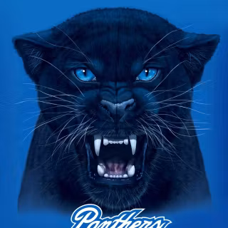 Georgia State Panthers wallpaper