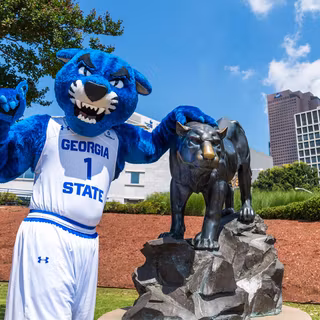 Georgia State Panthers wallpaper