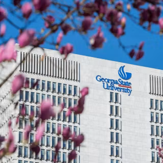 Georgia State Panthers wallpaper