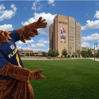Kent State Golden Flashes wallpaper