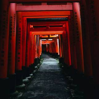 Tori gate winter wallpaper